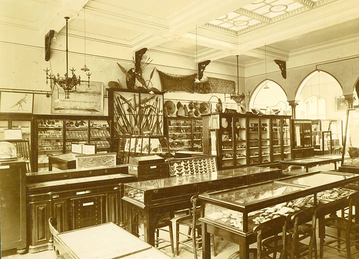 Brassey Institute Museum Exhibits