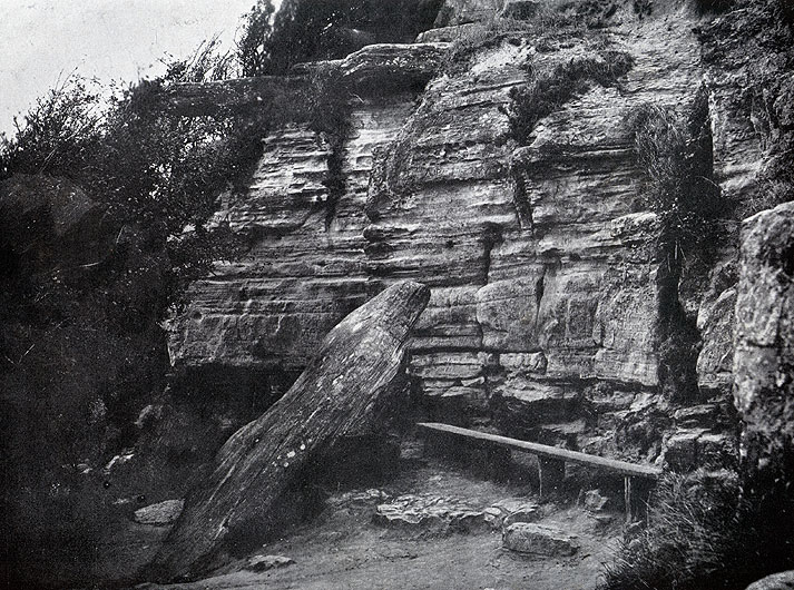 Lovers Seat Fairlight