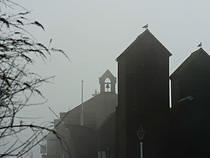 Net Huts in the Mist